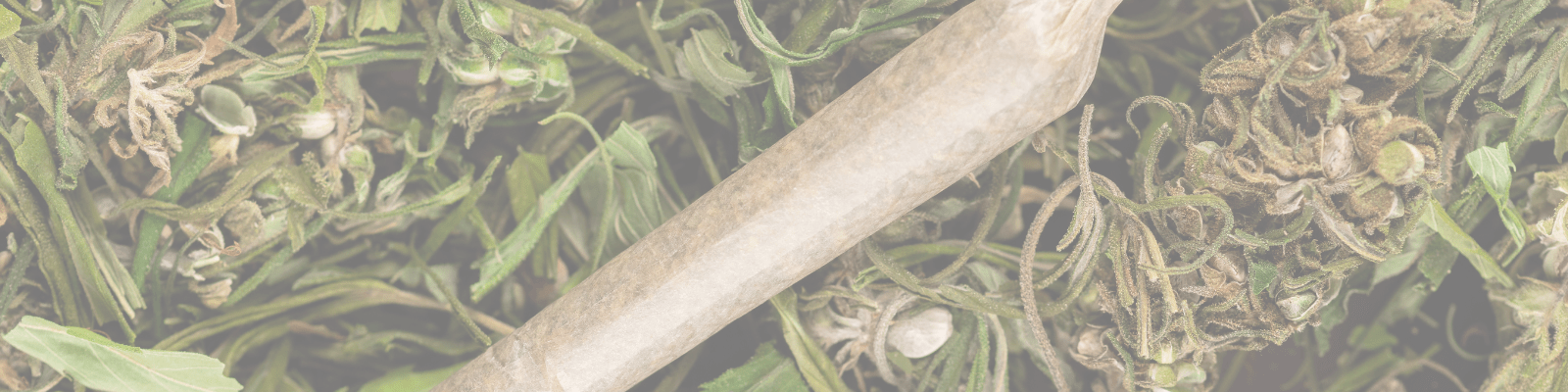 Pre roll cbd spliff min