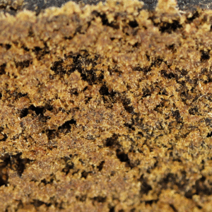 Black Afghan – żywica THCX Spliff, zbliżenie