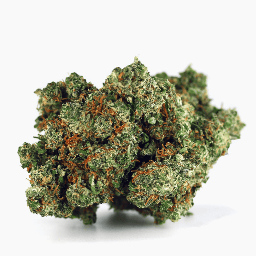 Gorilla Glue – susz THCX Spliff