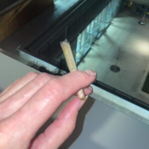 Opinia klienta Pudełko 3 pre-rolli - Amnesia ze zdjęciem - Spliff