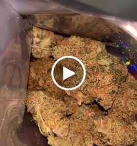Opinia klienta Raspberry Muffin ze zdjęciem - Spliff