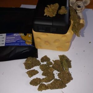 Opinia klienta Cheese ze zdjęciem - Spliff