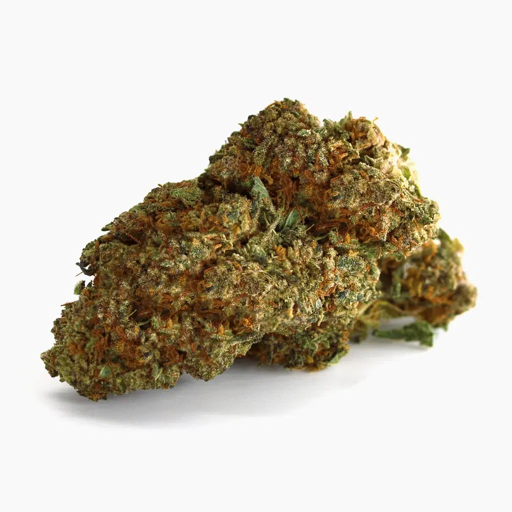 Cheese – susz THCX Spliff
