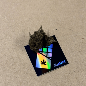 Opinia klienta Gorilla Glue ze zdjęciem - Spliff