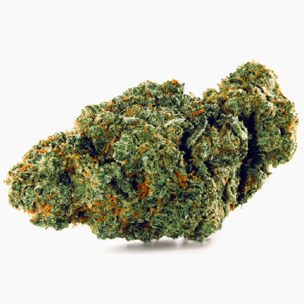 Amnesia – susz THCX Spliff