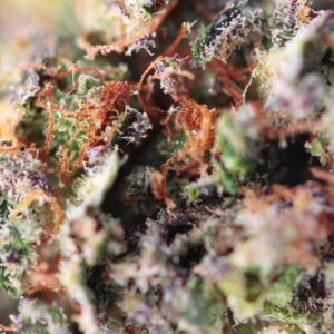 Dutch Grandma – susz CBD Spliff, zdjęcie 2