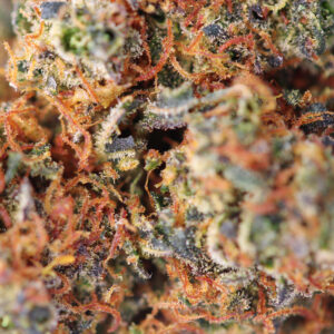 Gelato 33 – susz THCX Spliff, zdjęcie 2