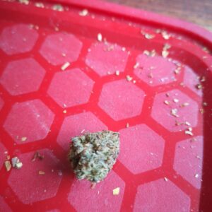 Opinia klienta Gelato 33 ze zdjęciem - Spliff