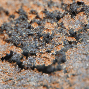 Kashmir Hash