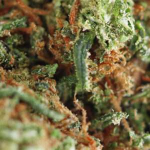 Pineapple – susz CBD Spliff, zbliżenie
