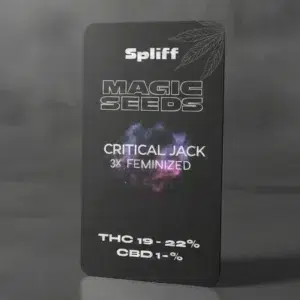 Critical Jack – graines de cannabis Spliff, photo 2