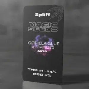 Gorilla Glue Auto – graines de cannabis Spliff, photo 2