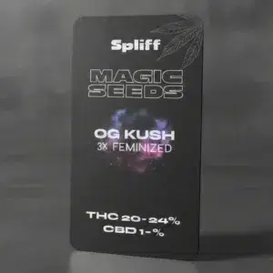 OG Kush – graines de cannabis Spliff, photo 2