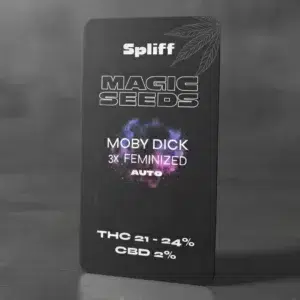 Moby Dick Auto – graines de cannabis Spliff, photo 2