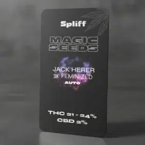Jack Herer Auto – graines de cannabis Spliff, photo 2