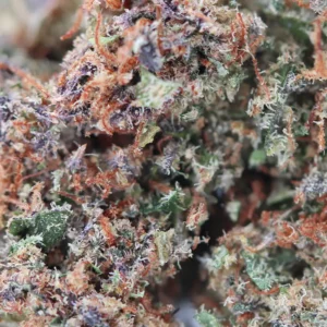 Jack Herer – susz CBD Spliff, zbliżenie