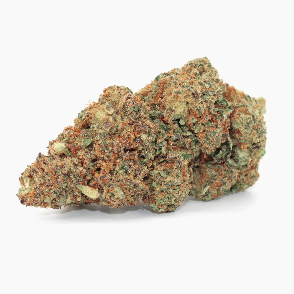 Jack Herer – susz CBD Spliff