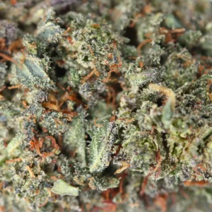 OG Kush – susz THCX Spliff, zbliżenie
