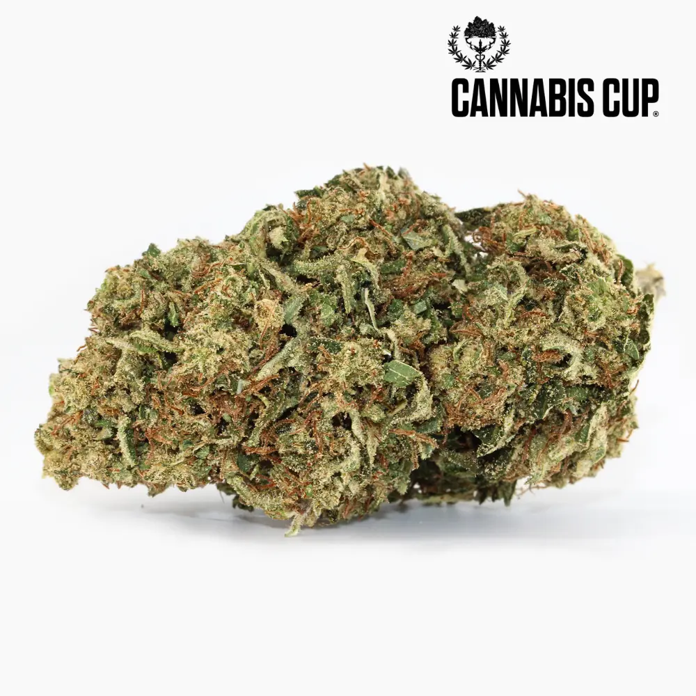 Dream Diesel – fleur de CBD Spliff