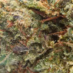Charlotte Angel – fleur THCX Spliff, photo 2