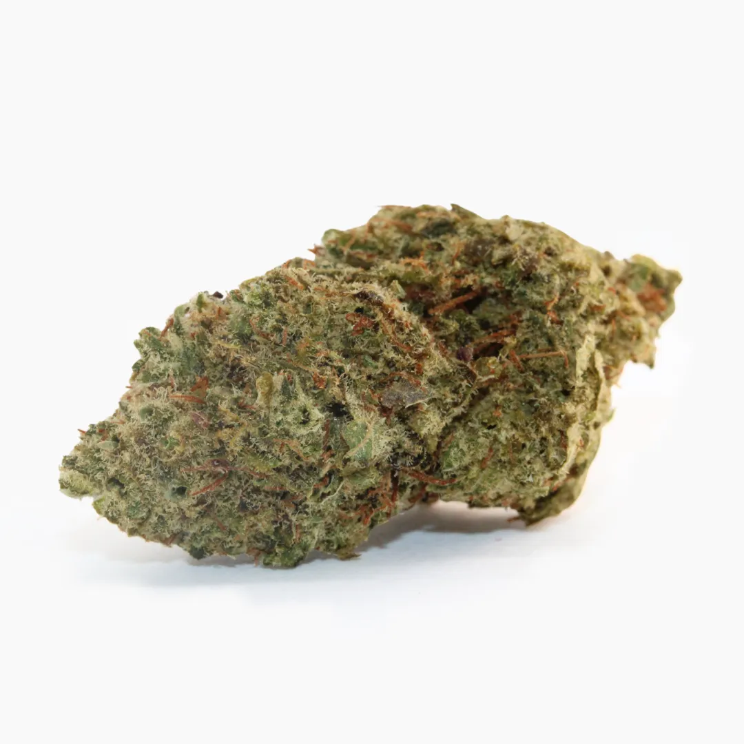 Charlotte Angel – fleur THCX Spliff