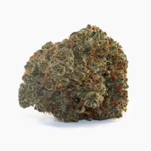 Critical 2.0 – susz THCX Spliff