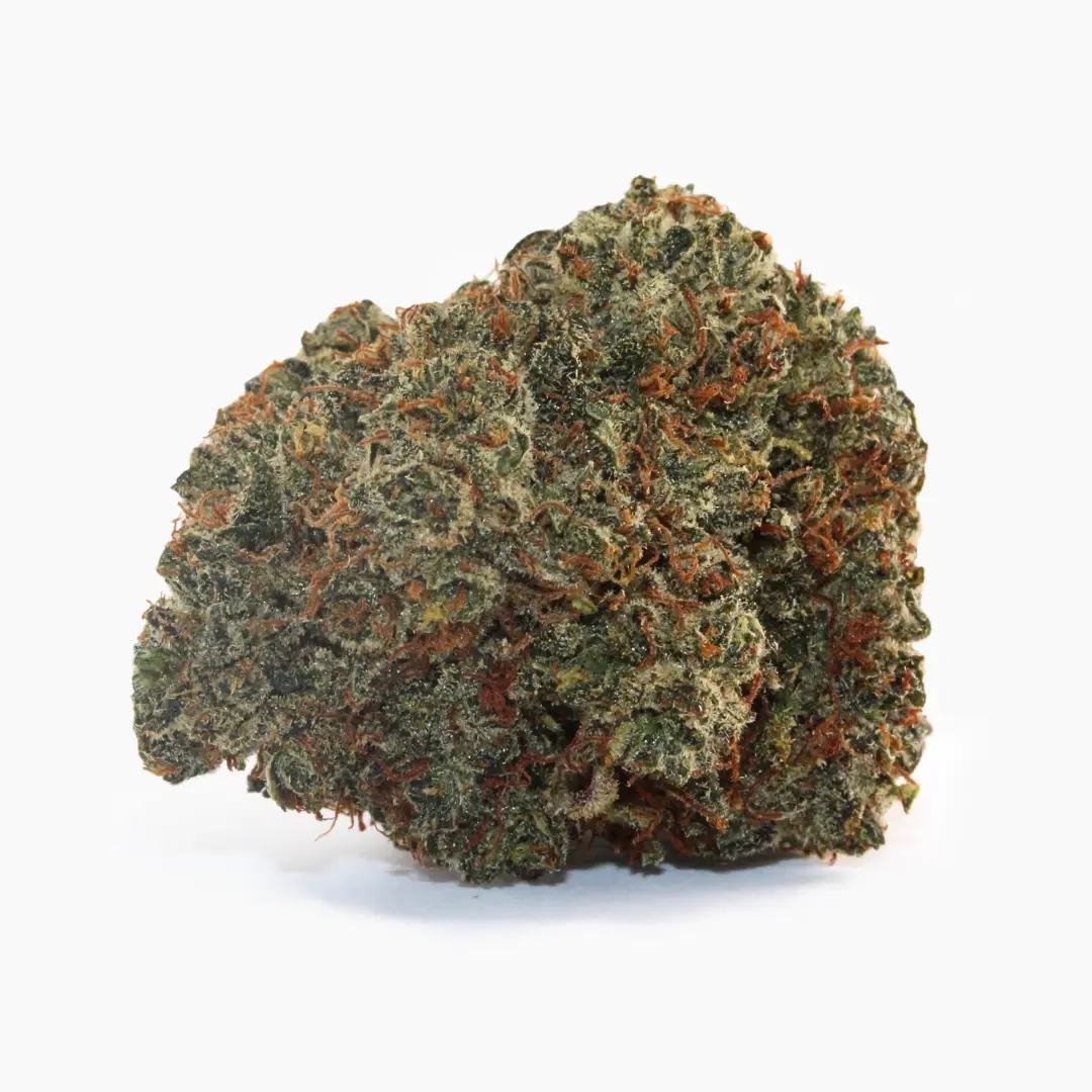 Critical 2.0 – susz THCX Spliff
