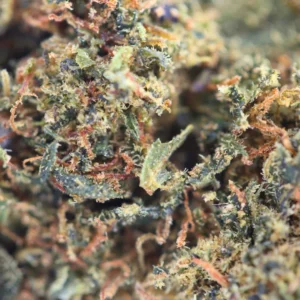 Dream Berry – fleur THCX Spliff, gros plan