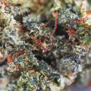 Ice Runtz USA – fleur THCX Spliff, photo 2