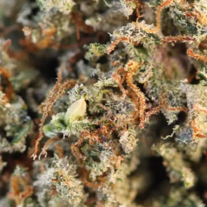 Big Buddha – susz THCX Spliff, zdjęcie 2