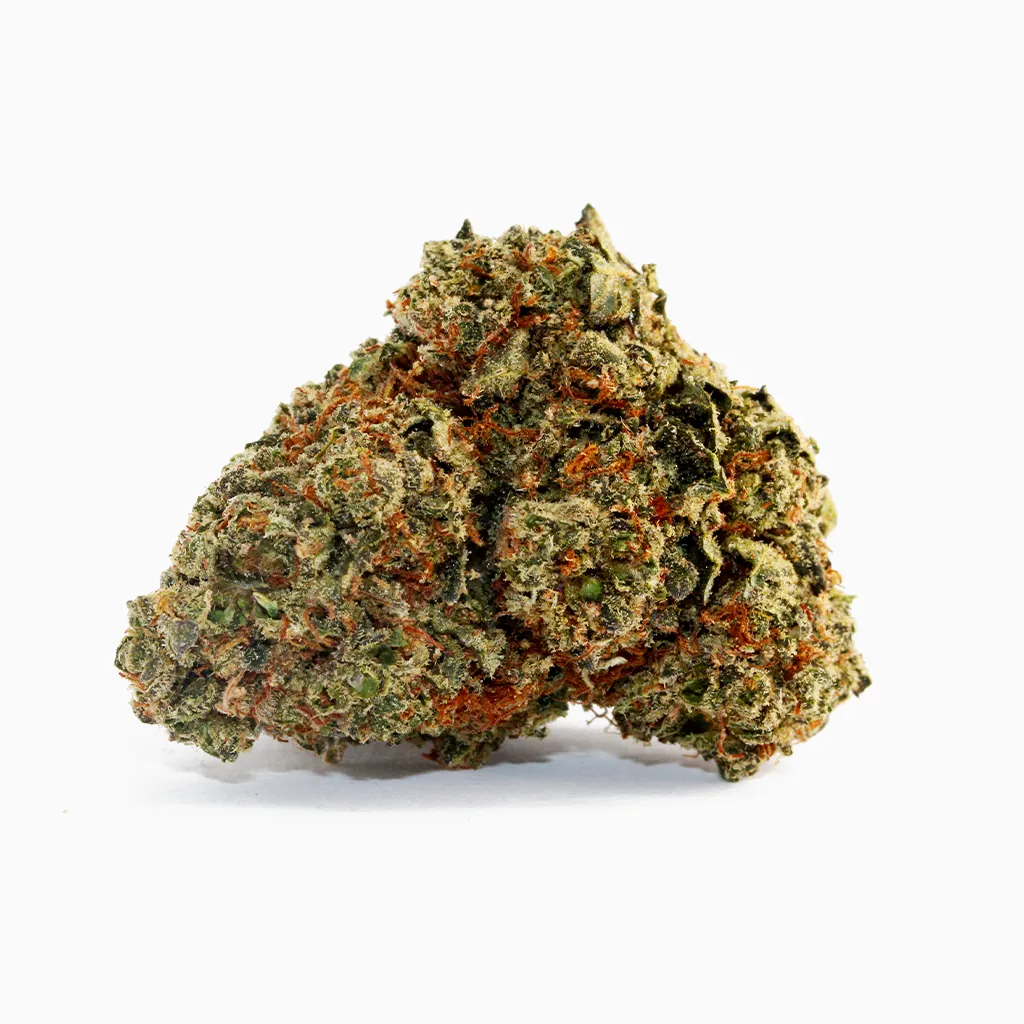 Big Buddha – susz THCX Spliff