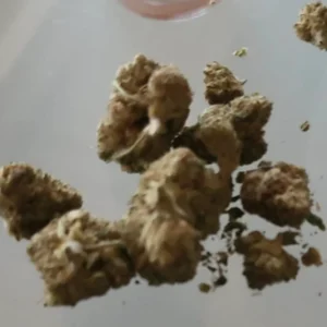 Opinia klienta Bubble Gum ze zdjęciem - Spliff
