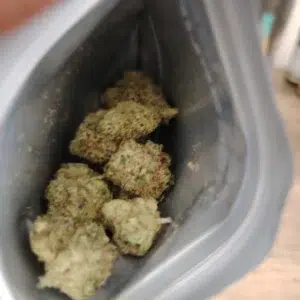 Opinia klienta Gelato 33 ze zdjęciem - Spliff