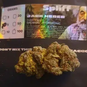 Opinia klienta Jack Herer ze zdjęciem - Spliff