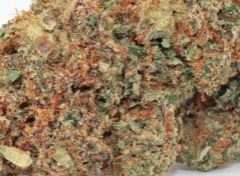 Click to view full screen Opinia klienta Jack Herer ze zdjęciem - Spliff