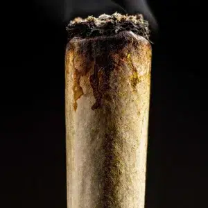 Opinia klienta Joint pre-roll - Gelato ze zdjęciem - Spliff