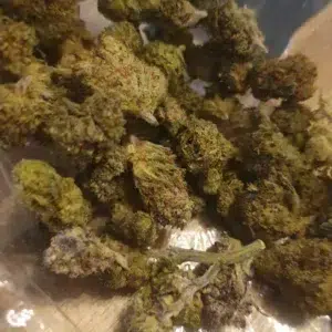 Opinia klienta Minibud Cali USA ze zdjęciem - Spliff