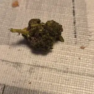 Opinia klienta Minibud Premium ze zdjęciem - Spliff