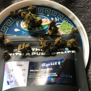 Opinia klienta Minibud Premium ze zdjęciem - Spliff