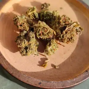 Opinia klienta Minibud Premium ze zdjęciem - Spliff