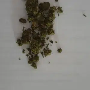 Opinia klienta Minibud Premium ze zdjęciem - Spliff