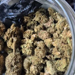Opinia klienta Minibud Premium ze zdjęciem - Spliff