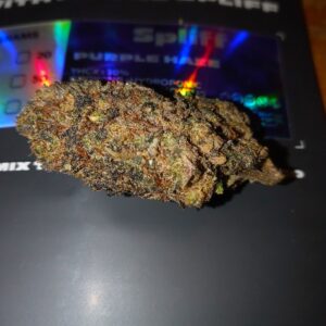 Opinia klienta Purple Haze ze zdjęciem - Spliff