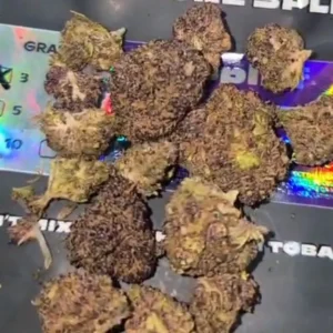 Opinia klienta Purple Haze ze zdjęciem - Spliff