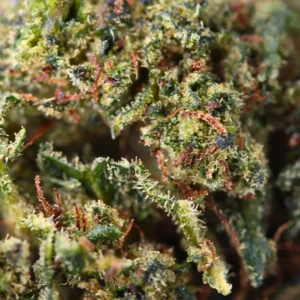 Opinia klienta Sour Diesel ze zdjęciem - Spliff