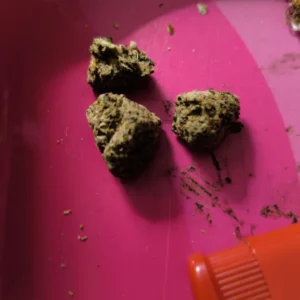 Opinia klienta Sour Diesel ze zdjęciem - Spliff